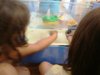 Science Week