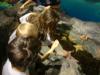 Touching the Star Fish